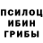 Псилоцибиновые грибы GOLDEN TEACHER Drobi D