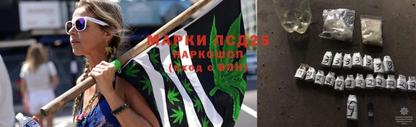 сатива Нея