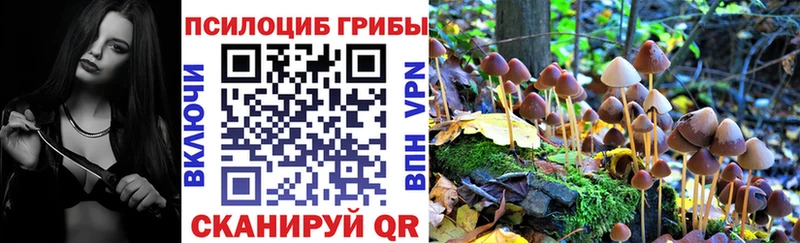 купить закладку Салават Псилоцибиновые грибы GOLDEN TEACHER