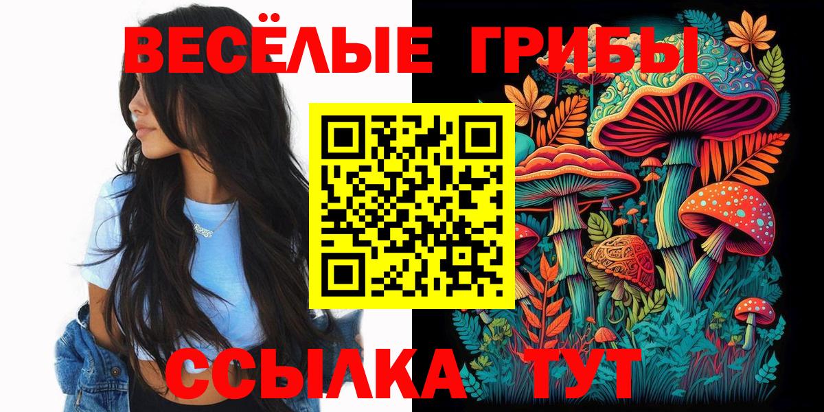 Салават  Псилоцибиновые грибы Psilocybine cubensis  Вход с VPN 
