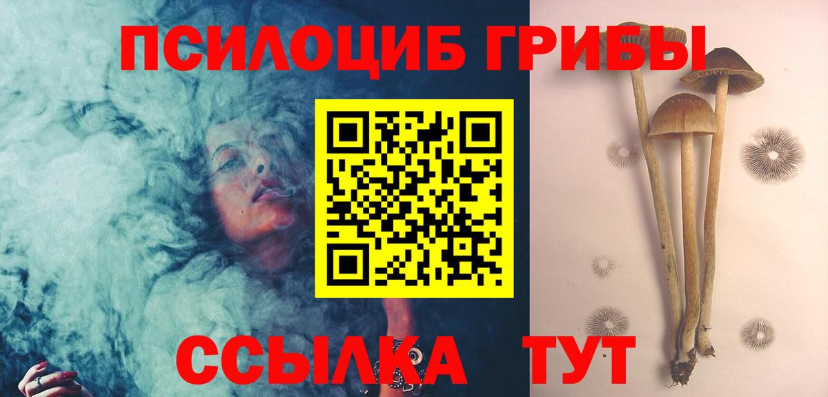 Галлюциногенные грибы GOLDEN TEACHER Салават